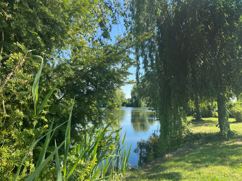 LETZTE FREIZEITGRUNDSTÜCKE IN EINZIGARTIGER SEENÄHE